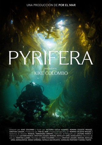 Pyrifera