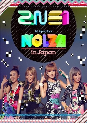 2NE1 1st Japan Tour "NOLZA in Japan"