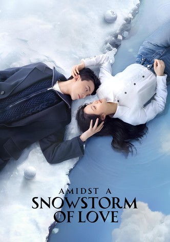 During the Snowstorm