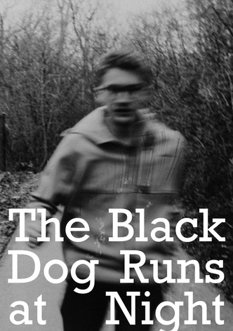 The Black Dog Runs At Night