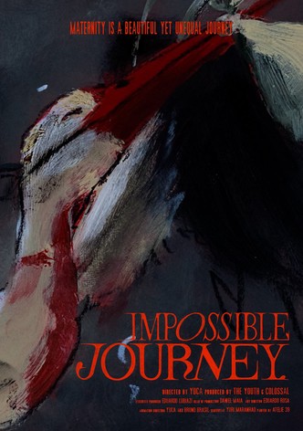 Impossible Journey