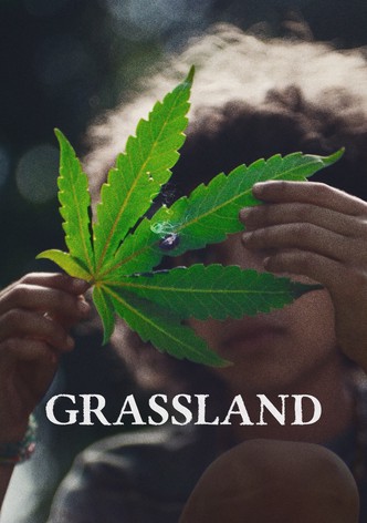 Grassland