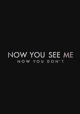 Now You See Me 3