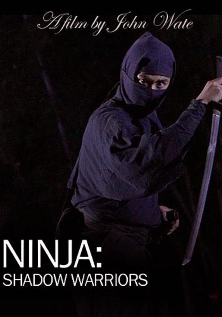 Ninja Shadow Warriors