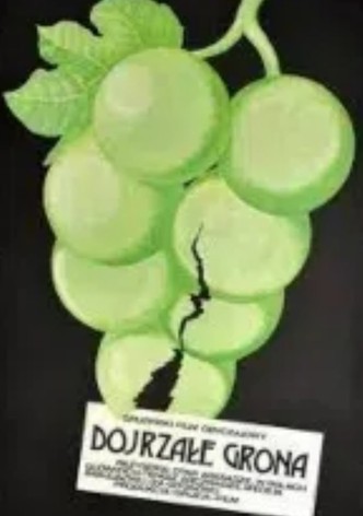 Ripe Bunches