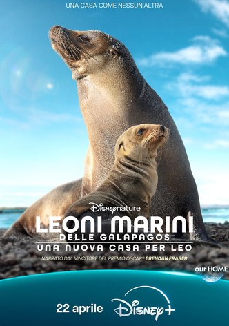 Leoni marini delle Galapagos – Una nuova casa per Leo