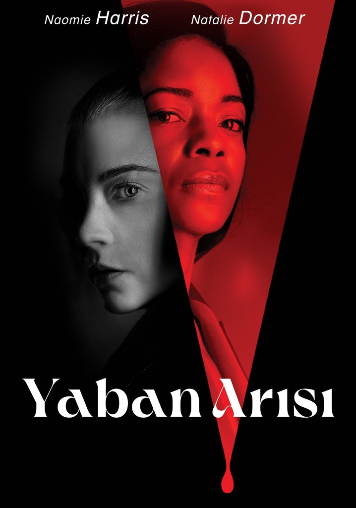 Yaban Arısı