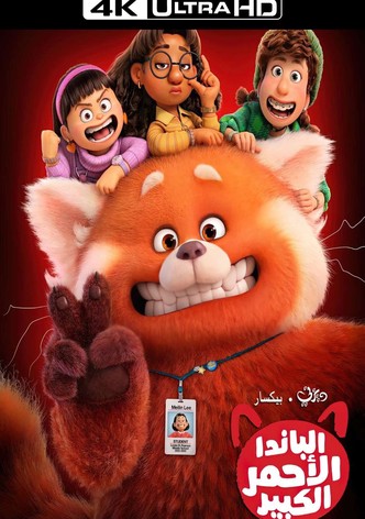 الباندا الأحمر الكبير