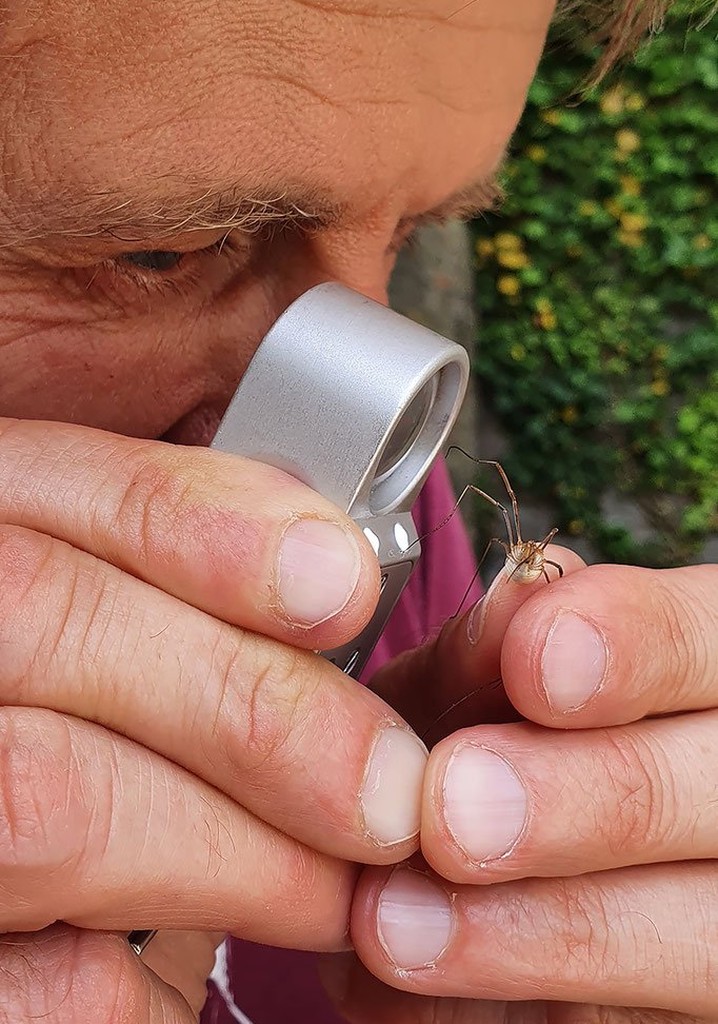 Geheimnisvolle Parktiere - Wildes Leben in der Stadt