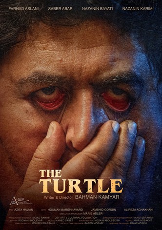 The Turtle