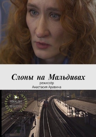 Слоны на Мальдивах