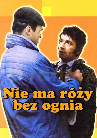 Nie ma róży bez ognia