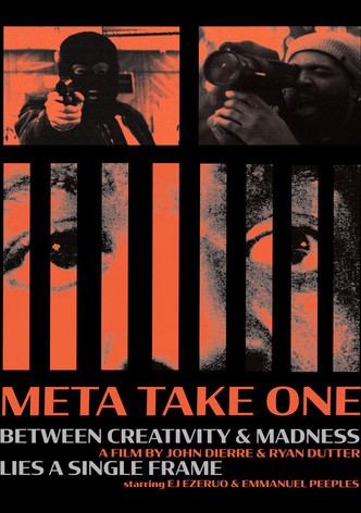 Meta Take One