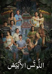 اللوتس الأبيض