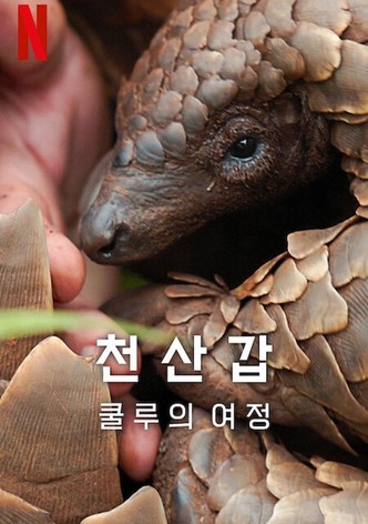 천산갑: 쿨루의 여정