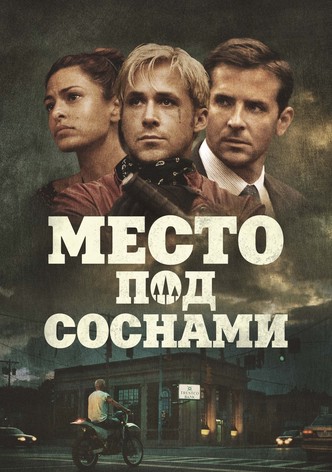 Место под соснами