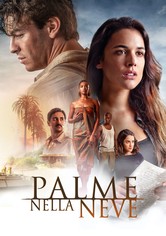 Palme nella neve