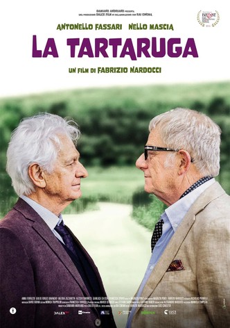 La tartaruga