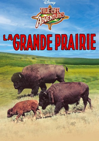 La Grande Prairie