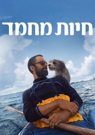 חיות מחמד