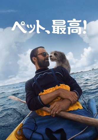 ペット