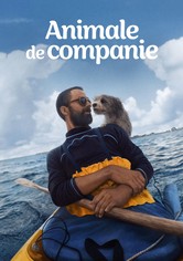 Animale de companie