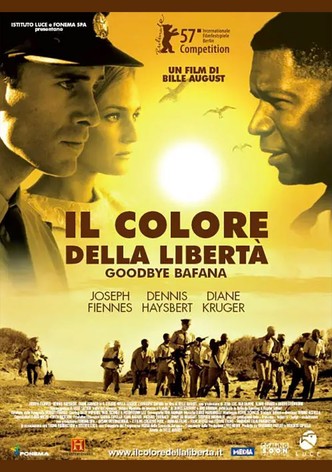 Il colore della libertà