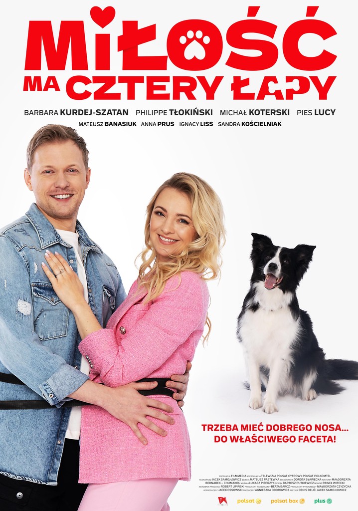 Miłość ma cztery łapy