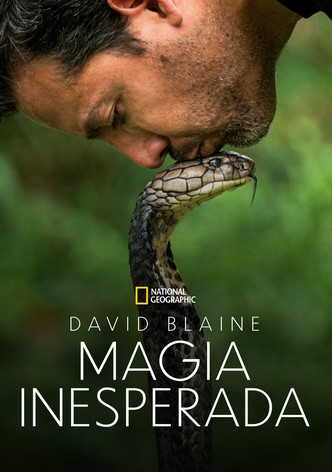 David Blaine Do Not Attempt