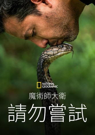 大卫·布雷恩：请勿尝试