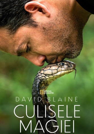 David Blaine: Culisele magiei