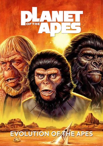 Evolution of the Apes