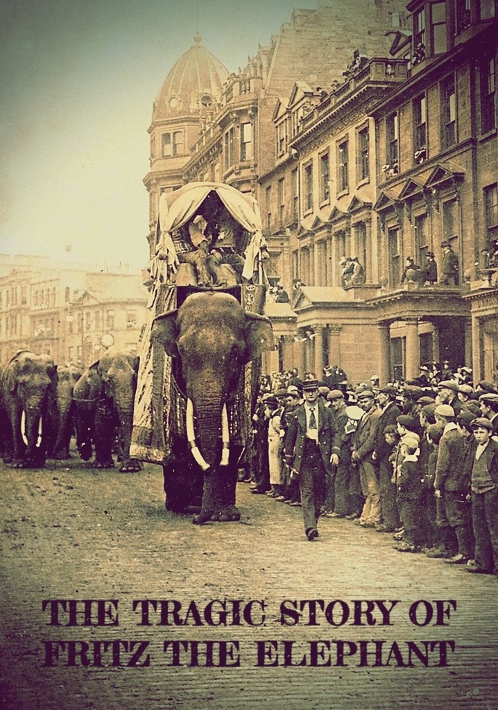 The Tragic Story of Fritz the Elephant