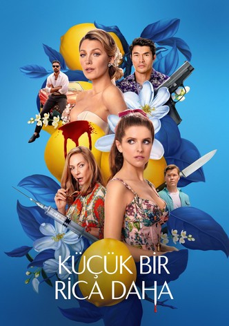 Küçük Bir Rica Daha