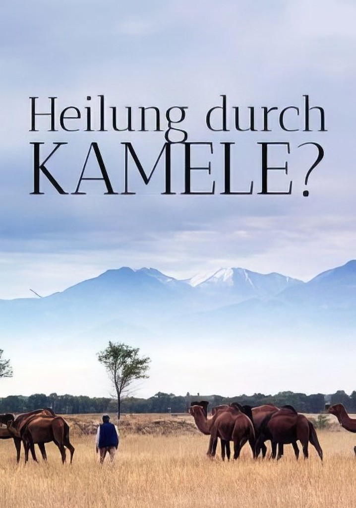 Un remède de chameau - La révolution des nanocorps