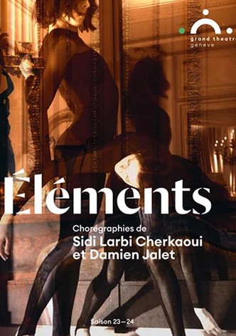 Elements Sidi Larbi Cherkaoui with Damien Jalet and Marina Abramovic