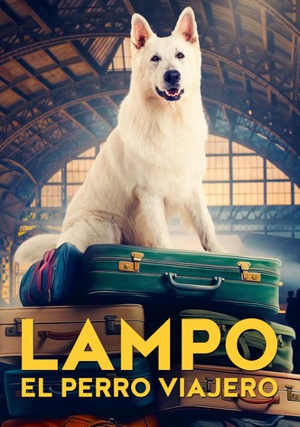 Lampo, el perro viajero