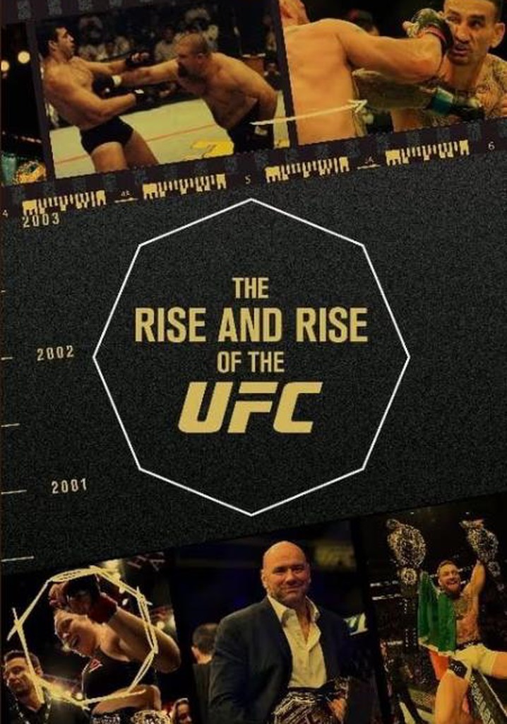 The Rise and Rise of the UFC