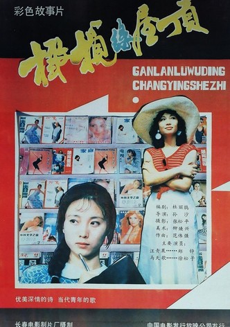 橄榄绿屋顶