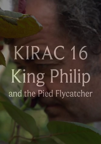 KIRAC 16: King Philip and the Pied Flycatcher