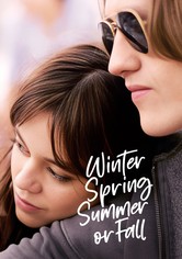 Winter Frühling Sommer oder Herbst