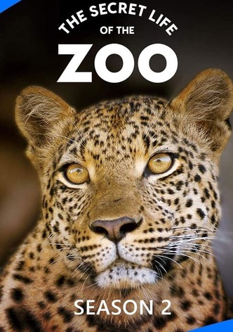 The Secret Life of the Zoo - Season 2