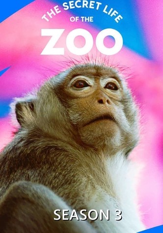 The Secret Life Of The Zoo Season 3