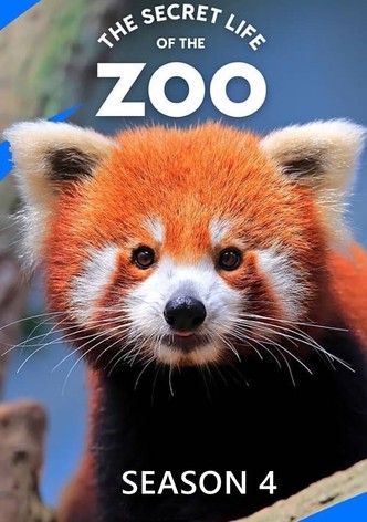 The Secret Life Of The Zoo Season 4