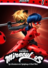 Miraculous: Verhalen over Ladybug & Cat Noir