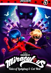 Miraculous - Katicabogár és Fekete Macska kalandjai