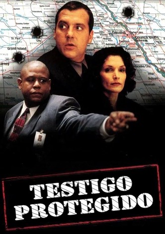Testigo protegido