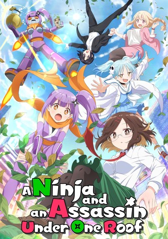 La relazione della ninja e dell'assassina