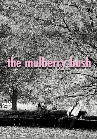 The Mulberry Bush