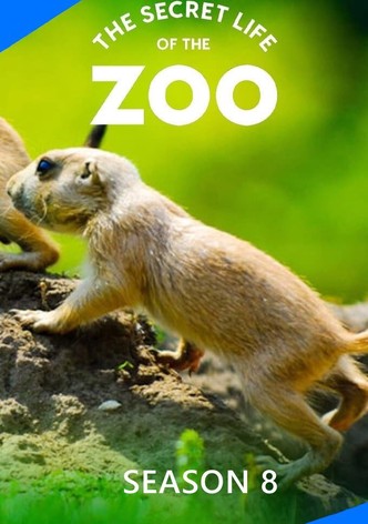 The Secret Life of the Zoo